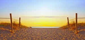 Path on the sand going to the ocean in Miami Beach Florida at sunrise or sunset, beautiful nature landscape, retro instagram filter for vintage looks