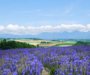 Blog article image ld-7